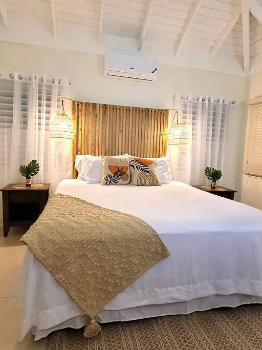 Prázdninový dům Vila The Gardenia Compound - Ocho Rios Area Richmond Jamajka